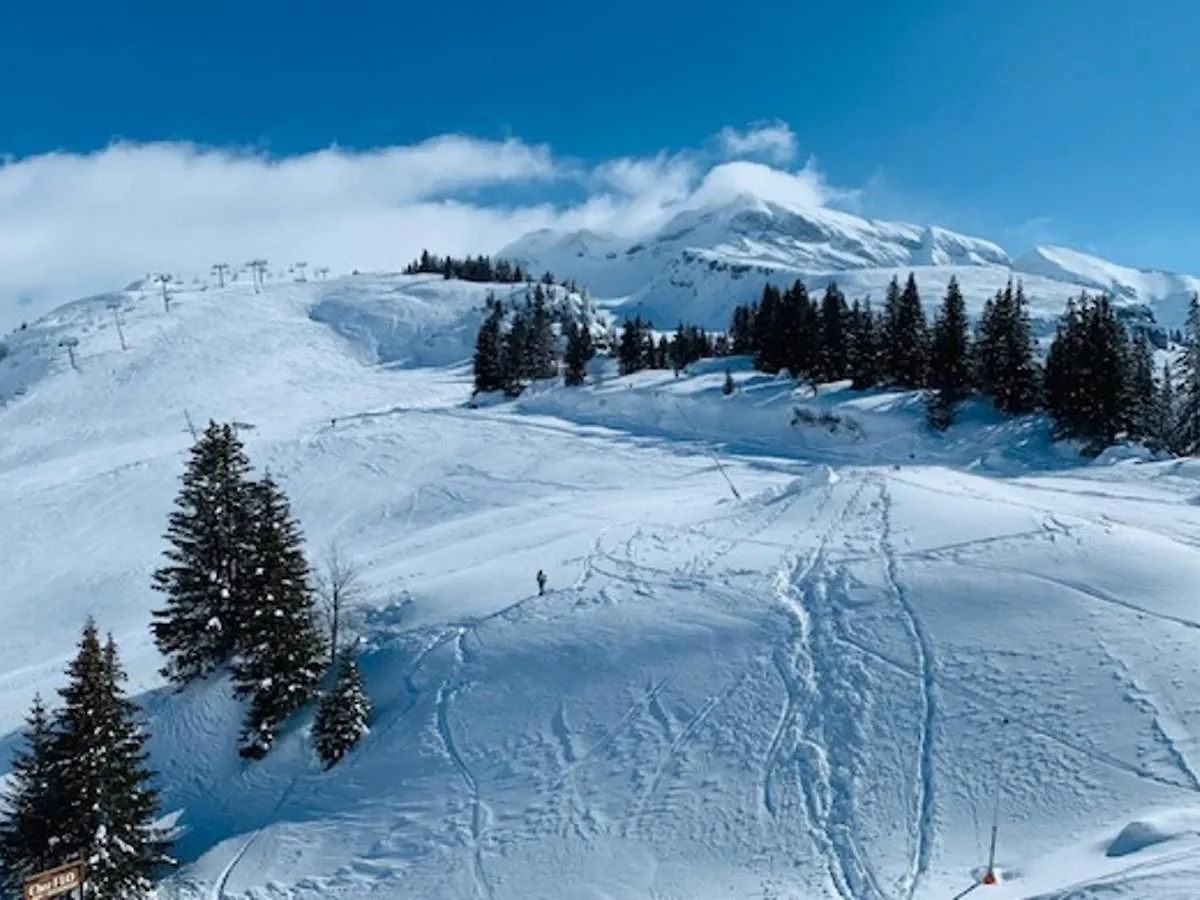 Appartement 3 Pieces 6 Pers, Balcon Sud, Ski Aux Pieds, Centre Avoriaz Accesible En Telepherique - Fr-1-314-131 Frankreich